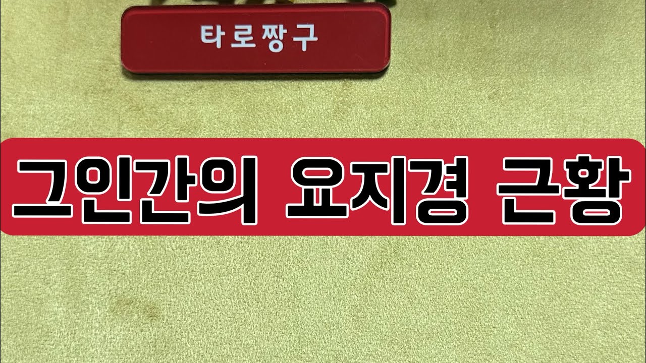 [타로짱구] 희망고문 없는 현실직시 타로