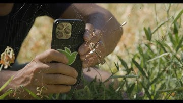 Scott Loarie & Ken-ichi Ueda, enabling real-time biodiversity data collection – Heinz Awardees