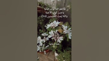 سورة آل عمران الآية ١٤٧و١٤٨و١٤٩و١٥٠ بصوت الشيخ #ياسر_الدوسري