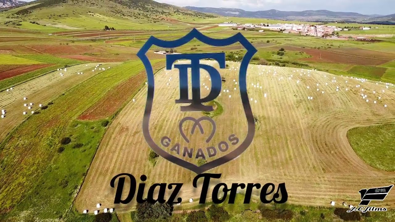 Ganados Díaz Torres y Agropecuarias Ventillanos  campaña de forraje 2022