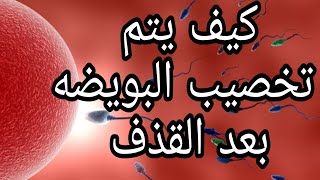 رحلة الحيوانات المنويه لتخصيب البويضه داخل الرحم /سبحان الله