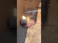 Best Retake Molly To Clear Dark On Dust 2 #shorts #cs2