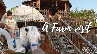 Al-Wakra Private Farm|Free entry|Farms in Qatar| weekend vlog