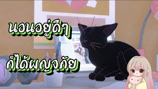 นอนอยู่ดีๆ ก็ได้ผญจภัย | Little Kitty Big City