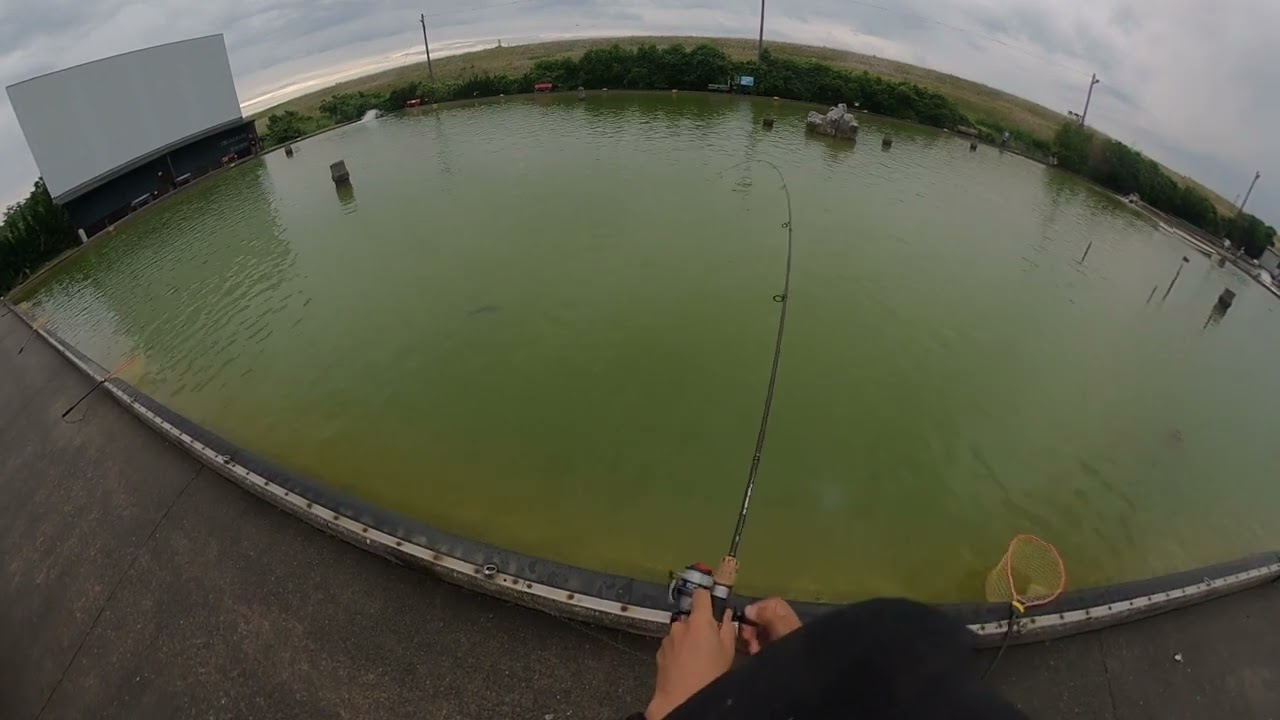 Dream Lake BASS Fishing 2024