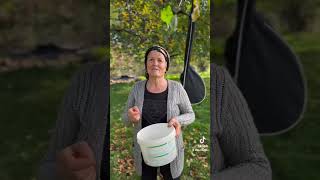 Taweefrini - Silav ji her kesê ji baxçê min