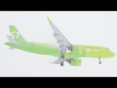 А320neo S7 Airlines посадка в снежную метель в Домодедово.