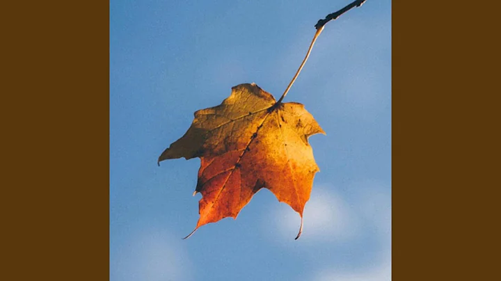 SEASONS