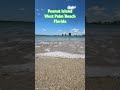 #Beach #water #watersounds #waves #florida #viral #shortvideo #cool #youtubeshorts #beautiful #wow