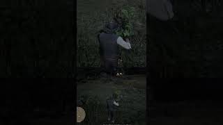 Red Dead Redemption 2 (сбор трав) | #morgunfs с помощью #Twitch