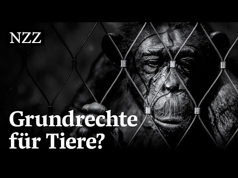 nachtstudio |2009| Der Zoo - Arche Noah oder Tiergefängnis?