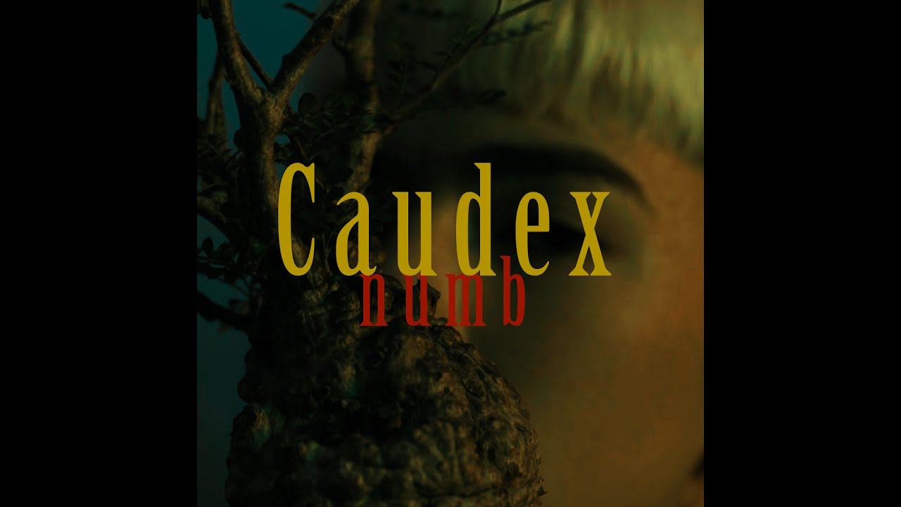 Watch NUMB - Caudex on YouTube Watch NUMB - Caudex on YouTube