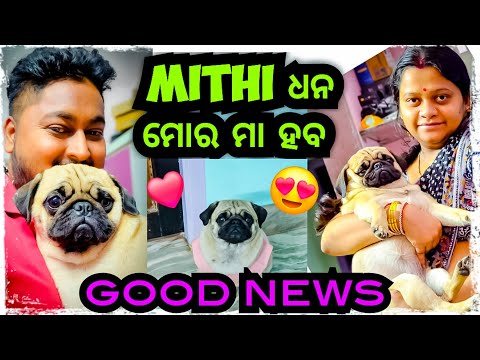 Mithi ଧନ ମୋର ମା ହବ 😍 || sumitra Arya || Odia bhaina vlogs