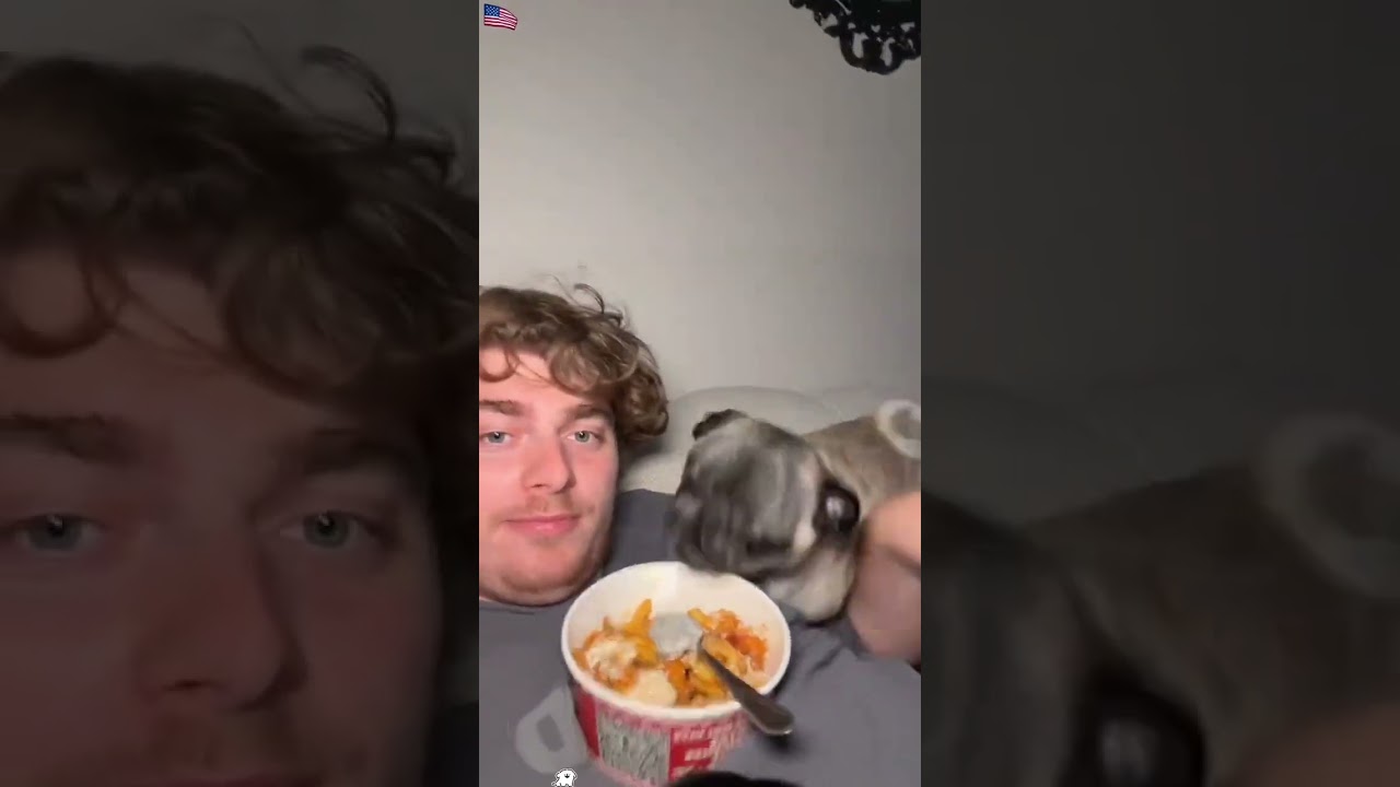 Dog Fails & Funny Eating Moments 🐶🤣