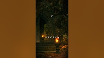 مقام الصبا والعجم سورة النمل..💚 #سبحان_الله #قران_كريم #مقام_العجم #مقام_الصبا #مقامات #قرآن