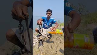 Catfish bite for the Shark hunting #fishing #fish #bigfish