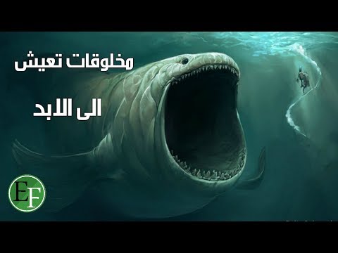 فيديو: النموذج الأولي للجبال 