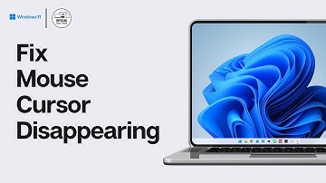 Hoe u het verdwijnen van de muiscursor in Windows 10/11 kunt verhelpen | Sneltoetsen om de muis w...