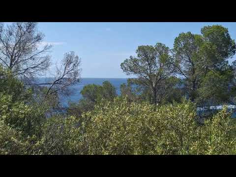 MALLORCA maj 2026 Piotr Napierała filmik 32