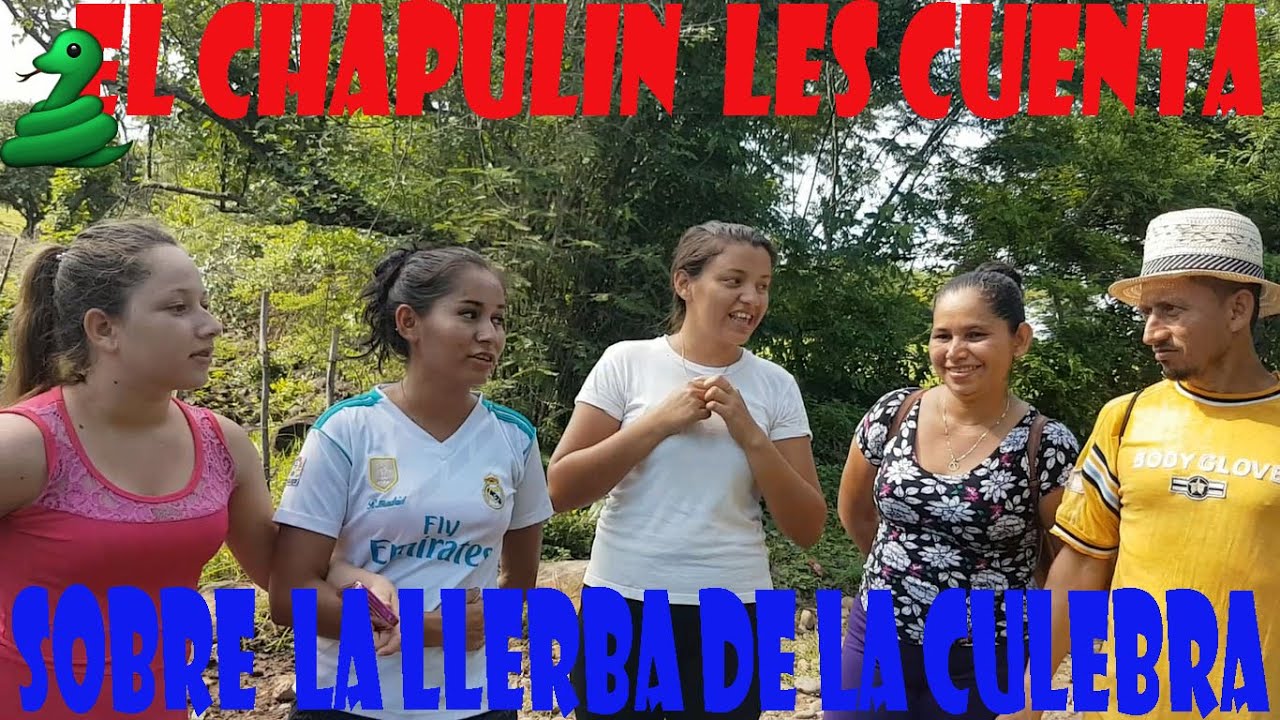 La historia la llerva de culebra para que sirve - YouTube