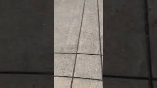 Shadow Bands 2017 Eclipse in Desoto, Missouri