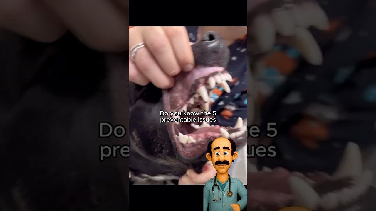 Comment “emergency” and I’ll send you an emergency guide so you know whay to do in those situations!