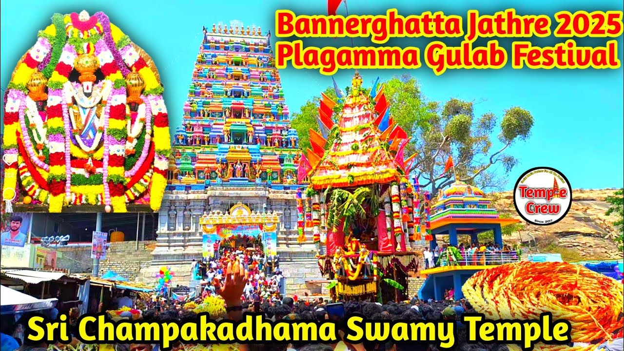 Bannerghatta Jathre 2025 | Plagamma Gulab Festival | Sri Champakadhama Swamy Temple | TempleCrew