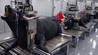 Inside Ai Leather Factory Bull Leather Jacket Making Full Process