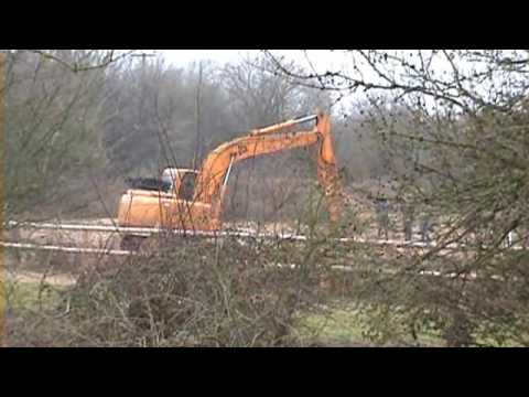 WILDLIFE FILES PAXTON PITS NATURE RESERVE HERON TR...