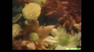 1-800-Flowers Thanksgiving Commercial 1992 Gobbler Bouquet