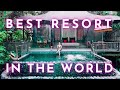 I WENT TO THE BEST RESORT IN THE WORLD │Tour of the #1 Luxury Hotel in Bali, Capella Resort Ubud