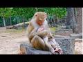 Latest Update Pregnant Amanda 02/05/26