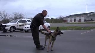 EPIC K9 Takedown training