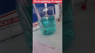 Electroplating of copper #experiment #shorts #scienceexperiment #ytshorts