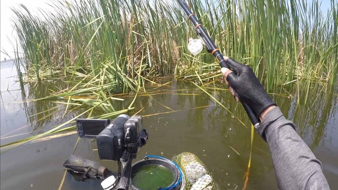 Spot Liaran Demak Terbaru