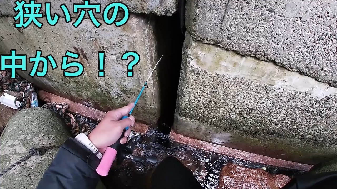 [穴釣り]明石新波止　狭い継ぎ目にも居るんです！