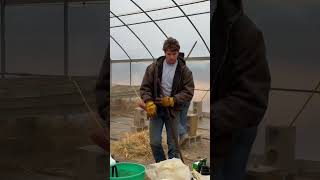 Celebrity The OFFICIAL start of the CROP Year! Cleaning up the greenhouse.🌱 Wealth