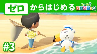 【住民誘致】2024年にゼロから始めるあつ森開拓#3【あつまれどうぶつの森】