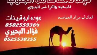 دحية بدوية نسمات من الجنوب 2015 عودة ابو قرينات وفؤاد البحيري#4