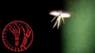 Do you believe in fairies? Do fairies really exist? What we don't s...