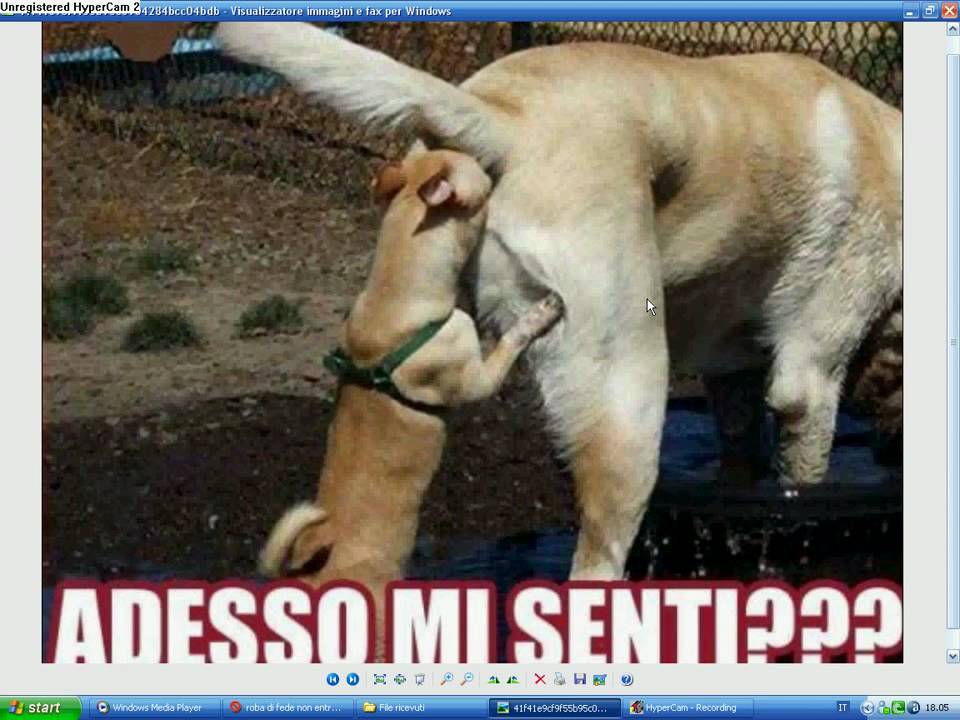 le foto piu divertenti del mondo - YouTube