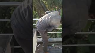 round pipe stainless steel railing!!for balcony ss