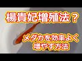 楊貴妃増殖法！？メダカを効率よく増やすには 滋賀県のメダカ販売店 めだか藁屋 高木正臣