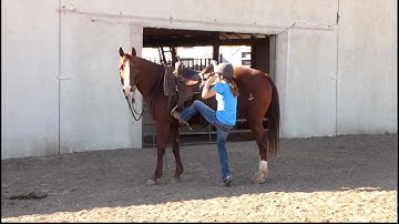 Valley View Ranch - Sallys Dual Pep - standing for mounting