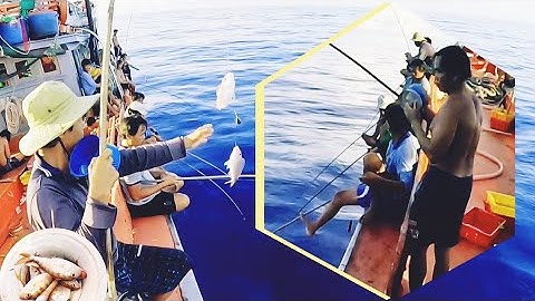 Buổi chiều ngư dân câu cá đổng | Đánh cá 2024 - Tập 38 | Sóng biển Hứa Đông