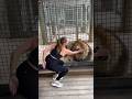Heartwarming Animal Rescue That Will Restore Your Faith in Humanity part 44