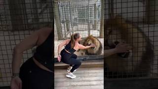 Heartwarming Animal Rescue That Will Restore Your Faith In Humanity Part 44