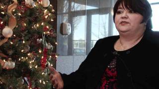 Using Telework to Clear the Air