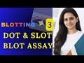 Part III: Dot &amp; Slot Blot Assay – Blotting Technique