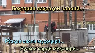 Рӯзҳое Аз Рӯзҳои Сарди Муҳоҷирӣ Ufilm Tj